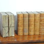 wonderful and rare set of eight vintage french faux livres false books